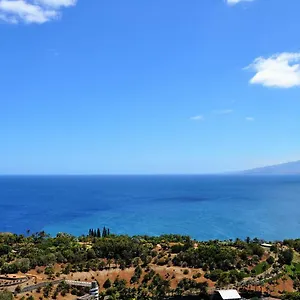 https://apartamento-torre1.in-canary-islands.com